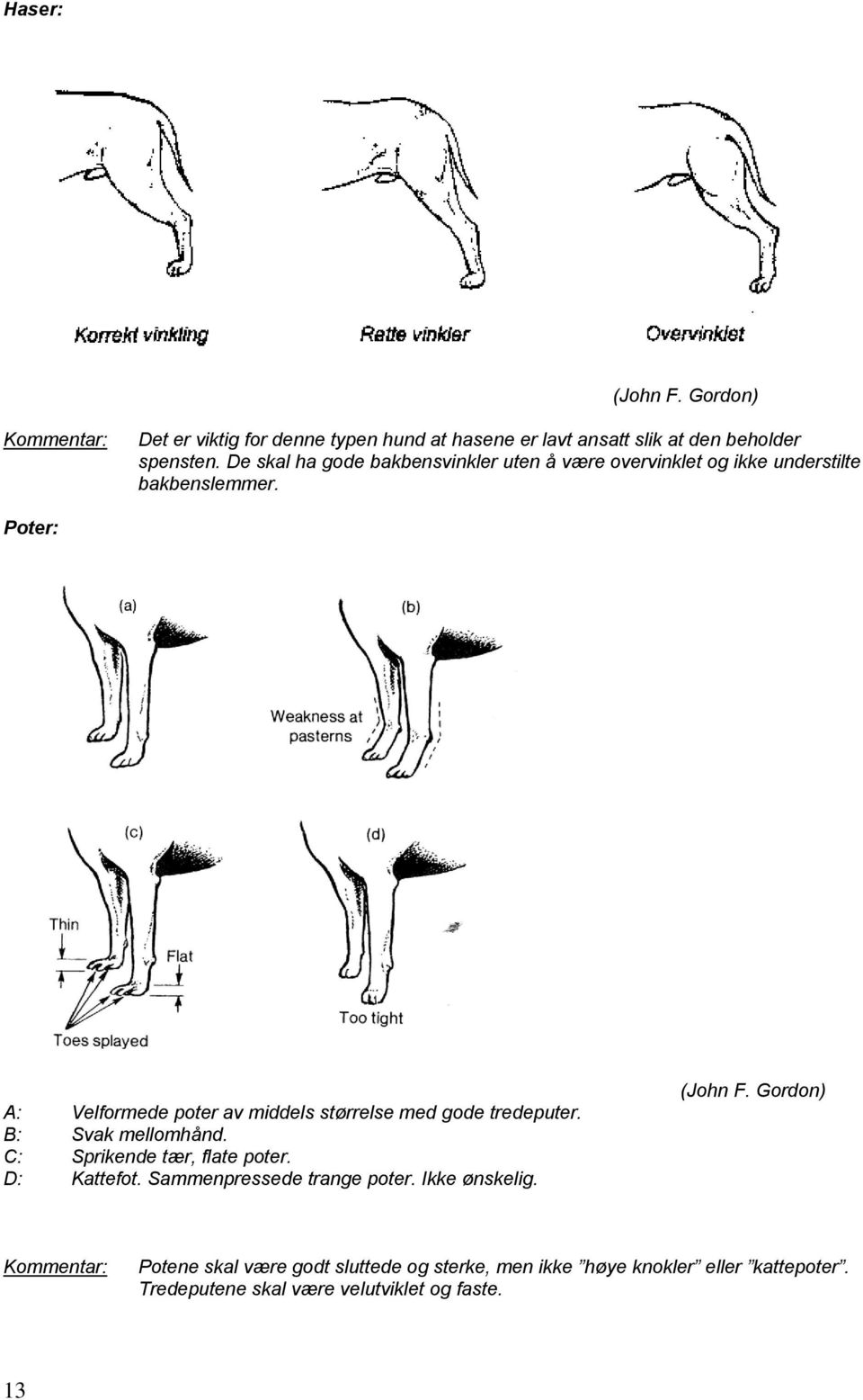 Poter: A: Velformede poter av middels størrelse med gode tredeputer. B: Svak mellomhånd. C: Sprikende tær, flate poter.