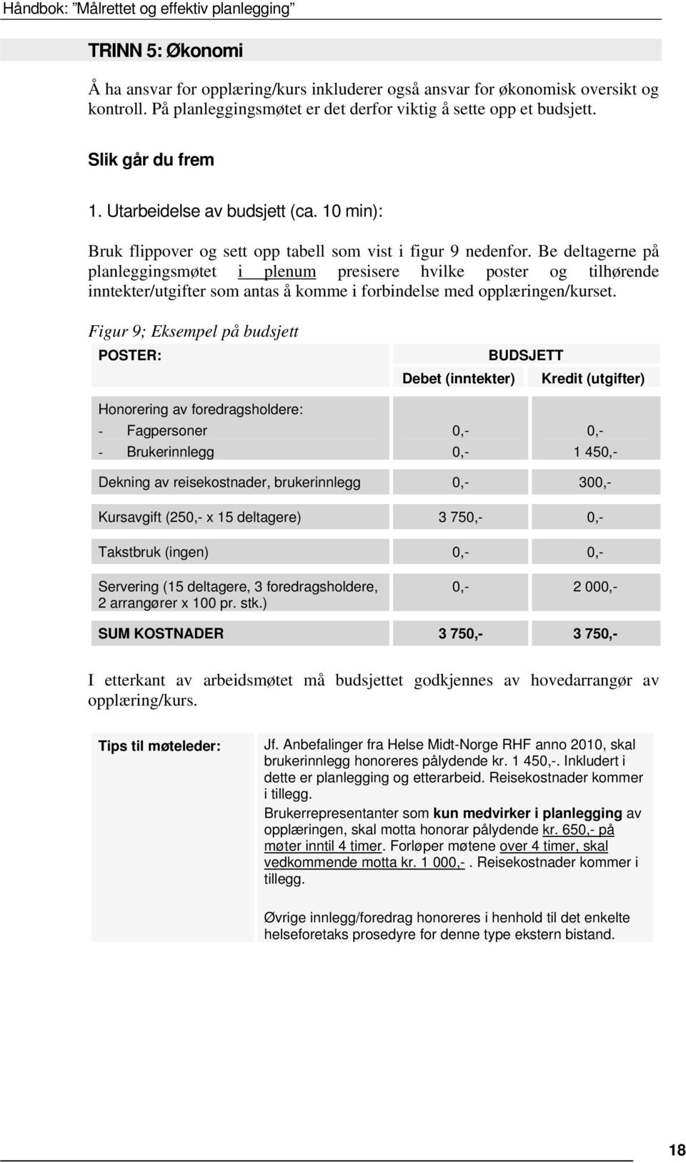 Be deltagerne på planleggingsmøtet i plenum presisere hvilke poster og tilhørende inntekter/utgifter som antas å komme i forbindelse med opplæringen/kurset.