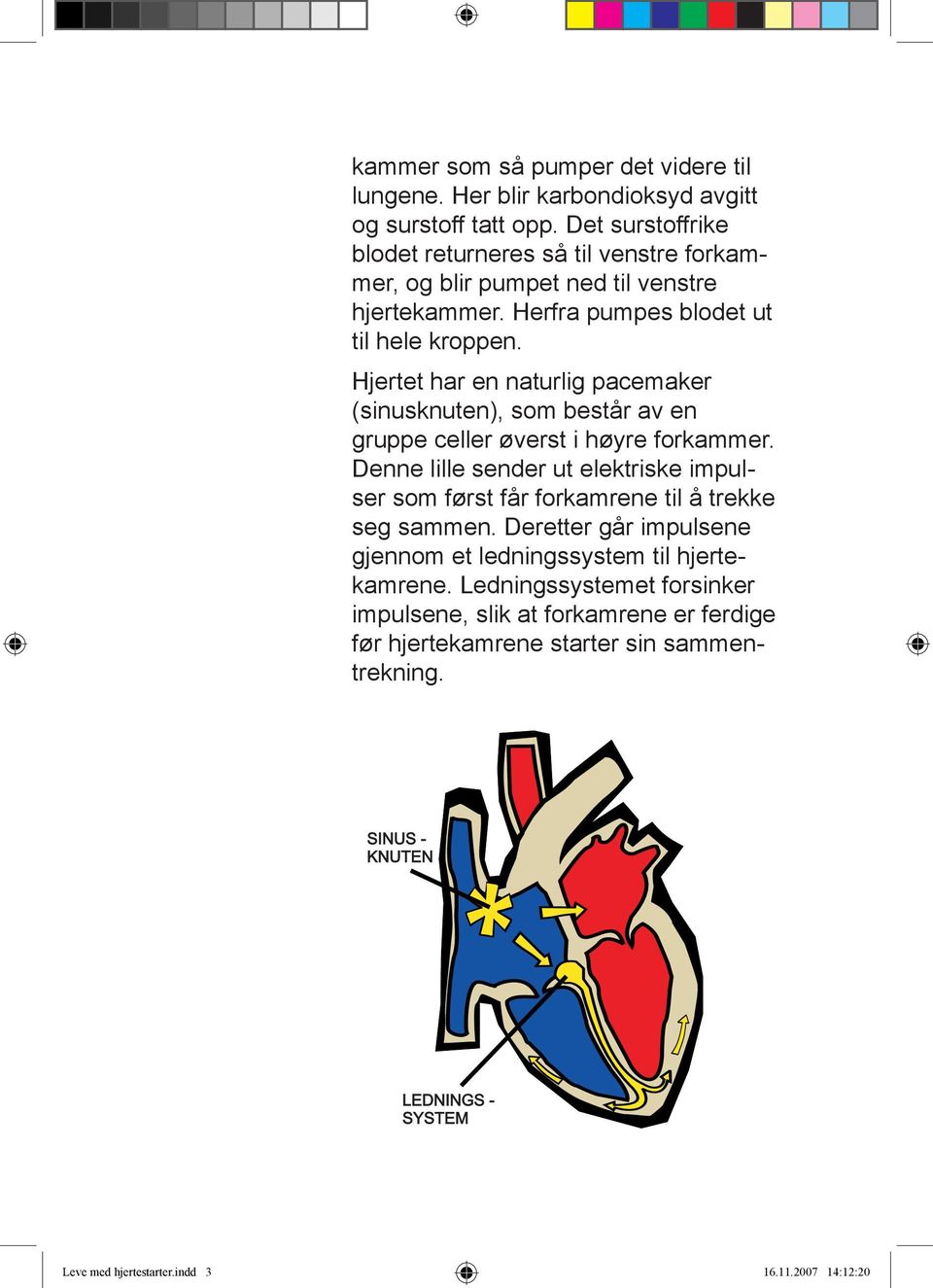 Hjertet har en naturlig pacemaker (sinusknuten), som består av en gruppe celler øverst i høyre forkammer.