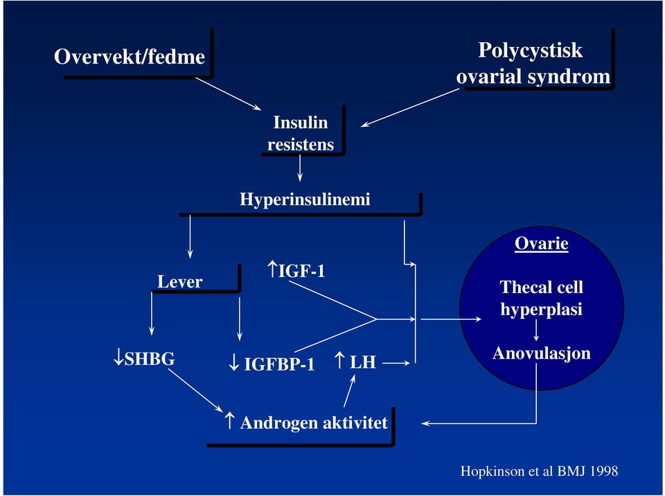 Ovarie Thecal cell hyperplasi SHBG IGFBP-1 LH