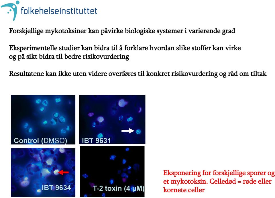 Resultatene kan ikke uten videre overføres til konkret risikovurdering og råd om tiltak Control (DMSO) IBT