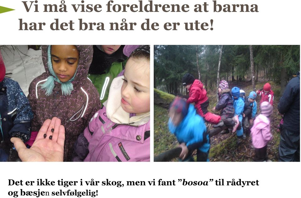 Det er ikke tiger i vår skog, men