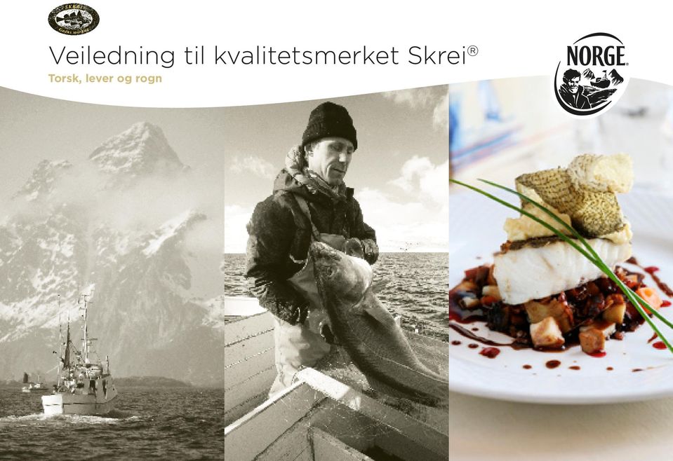 Veiledning til kvalitetsmerket Skrei Torsk, lever og rogn - PDF Free  Download
