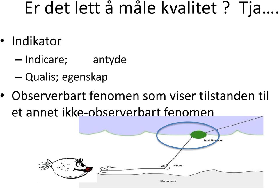 egenskap Observerbart fenomen som viser