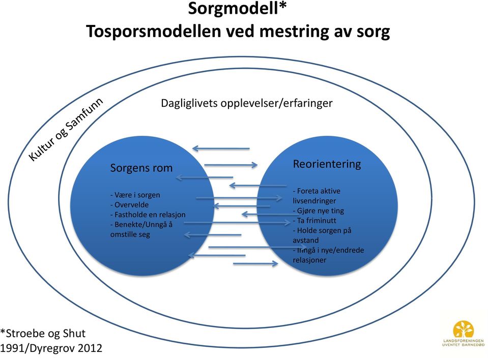 omstille seg Reorientering - Foreta aktive livsendringer - Gjøre nye ting - Ta