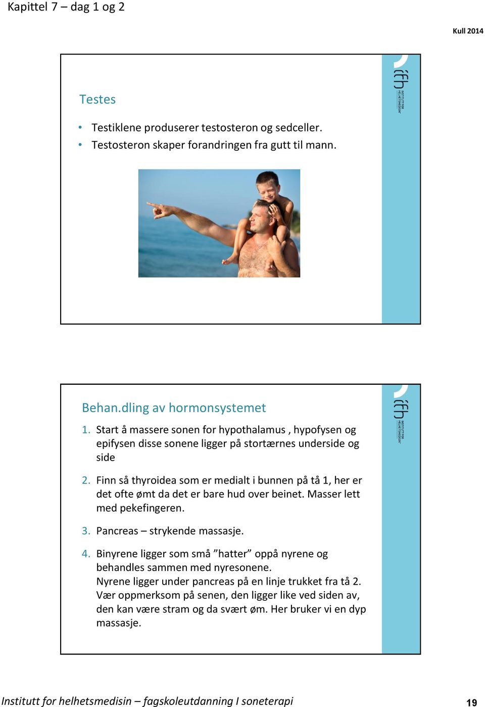 Finn så thyroidea som er medialt i bunnen på tå 1, her er det ofte ømt da det er bare hud over beinet. Masser lett med pekefingeren. 3. Pancreas strykende massasje. 4.