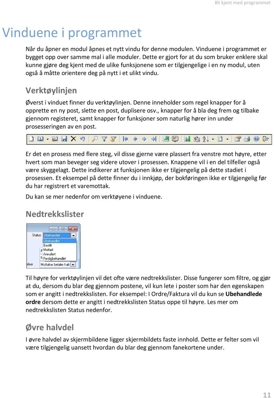 Verktøylinjen Øverst i vinduet finner du verktøylinjen. Denne inneholder som regel knapper for å opprette en ny post, slette en post, duplisere osv.