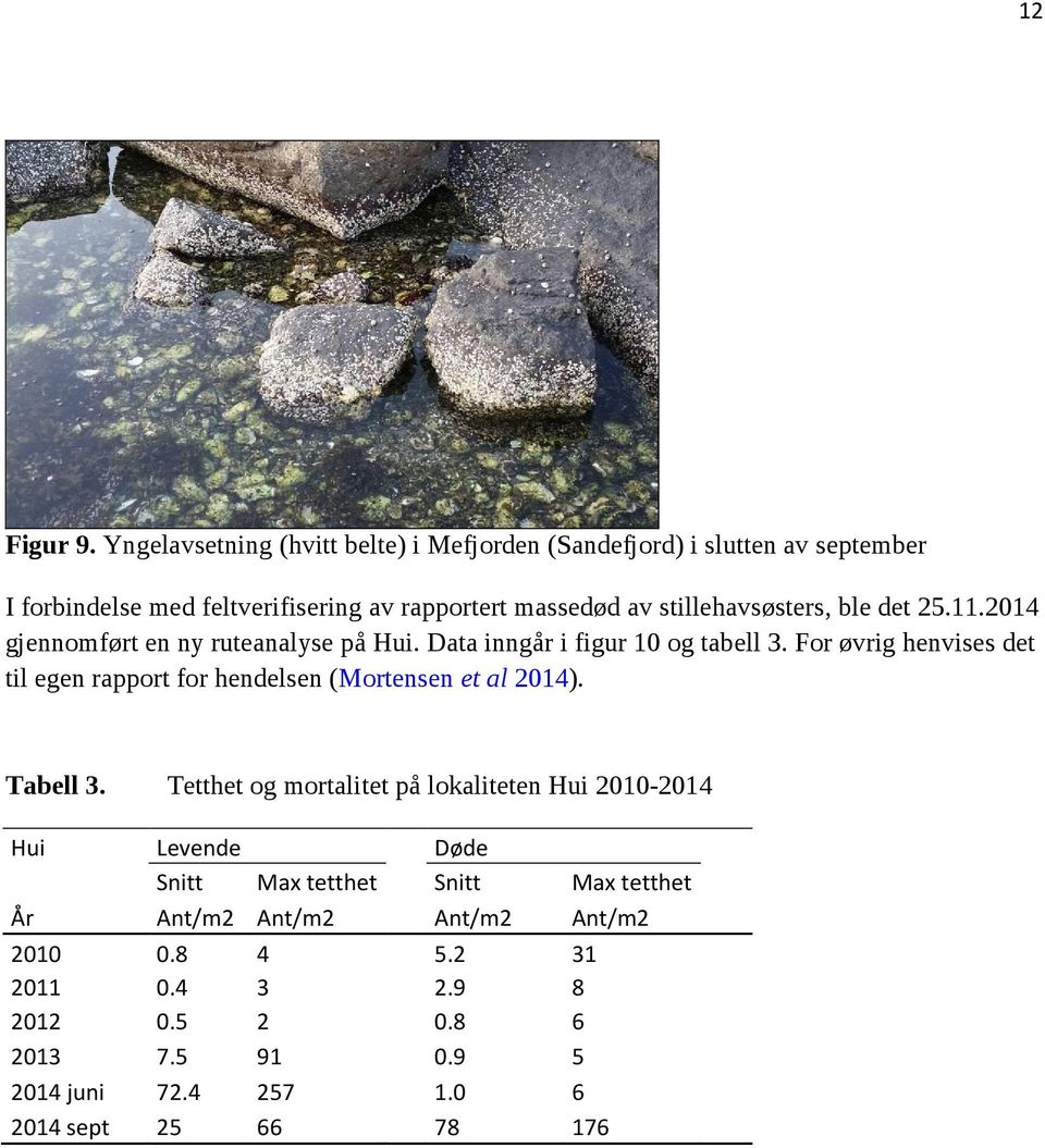 stillehavsøsters, ble det 25.11.2014 gjennomført en ny ruteanalyse på Hui. Data inngår i figur 10 og tabell 3.