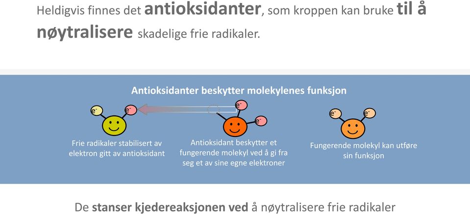 elektron gitt av antioksidant Antioksidant beskytter et fungerende molekyl ved å gi fra seg et av sine