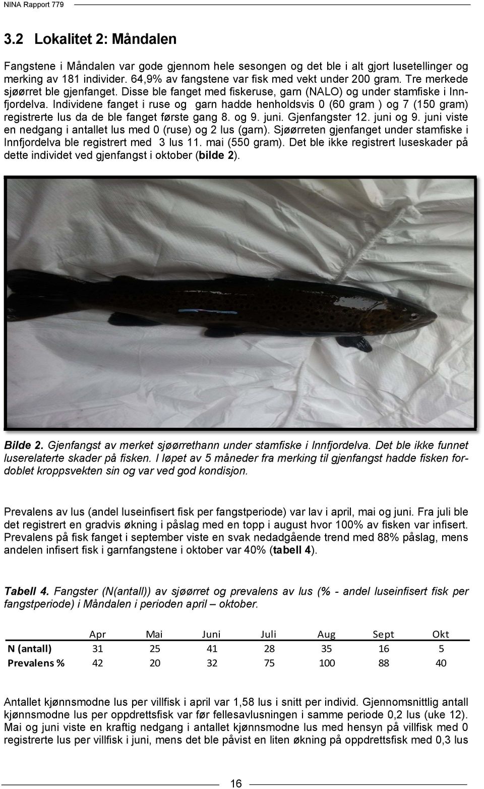 Individene fanget i ruse og garn hadde henholdsvis 0 (60 gram ) og 7 (150 gram) registrerte lus da de ble fanget første gang 8. og 9. juni. Gjenfangster 12. juni og 9.