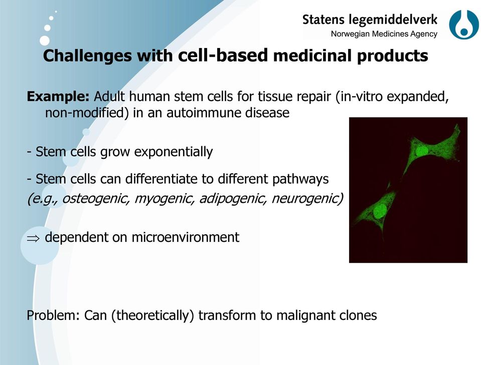 Stem cells can differentiate to different pathways (e.g.