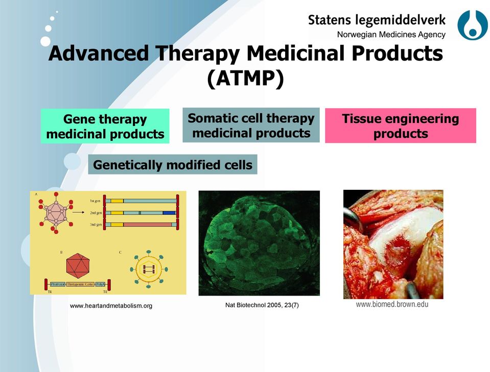 Tissue engineering products Genetically modified cells www.