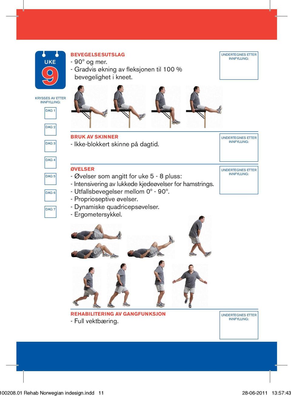 - Øvelser som angitt for uke 5-8 pluss: - Intensivering av lukkede kjedeøvelser for hamstrings.