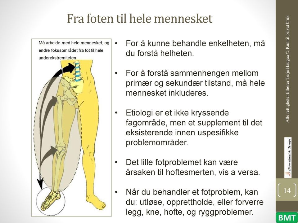 Etiologi er et ikke kryssende fagområde, men et supplement til det eksisterende innen uspesifikke problemområder.