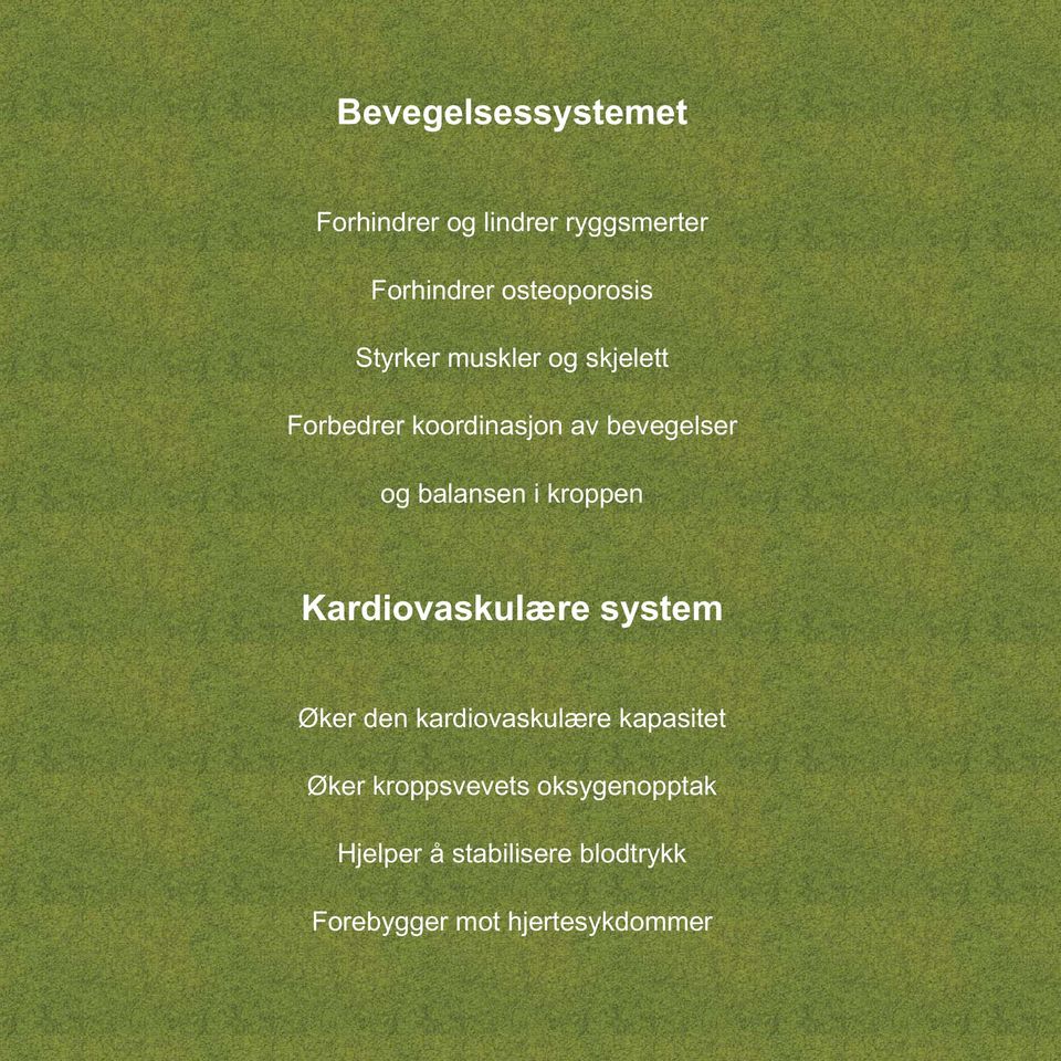 kroppen Kardiovaskulære system Øker den kardiovaskulære kapasitet Øker