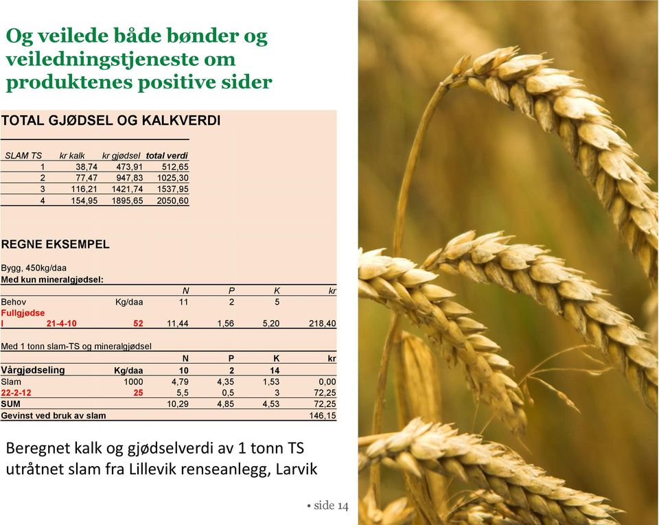 Fullgjødse l 21-4-10 52 11,44 1,56 5,20 218,40 Med 1 tonn slam-ts og mineralgjødsel N P K kr Vårgjødseling Kg/daa 10 2 14 Slam 1000 4,79 4,35 1,53 0,00 22-2-12 25