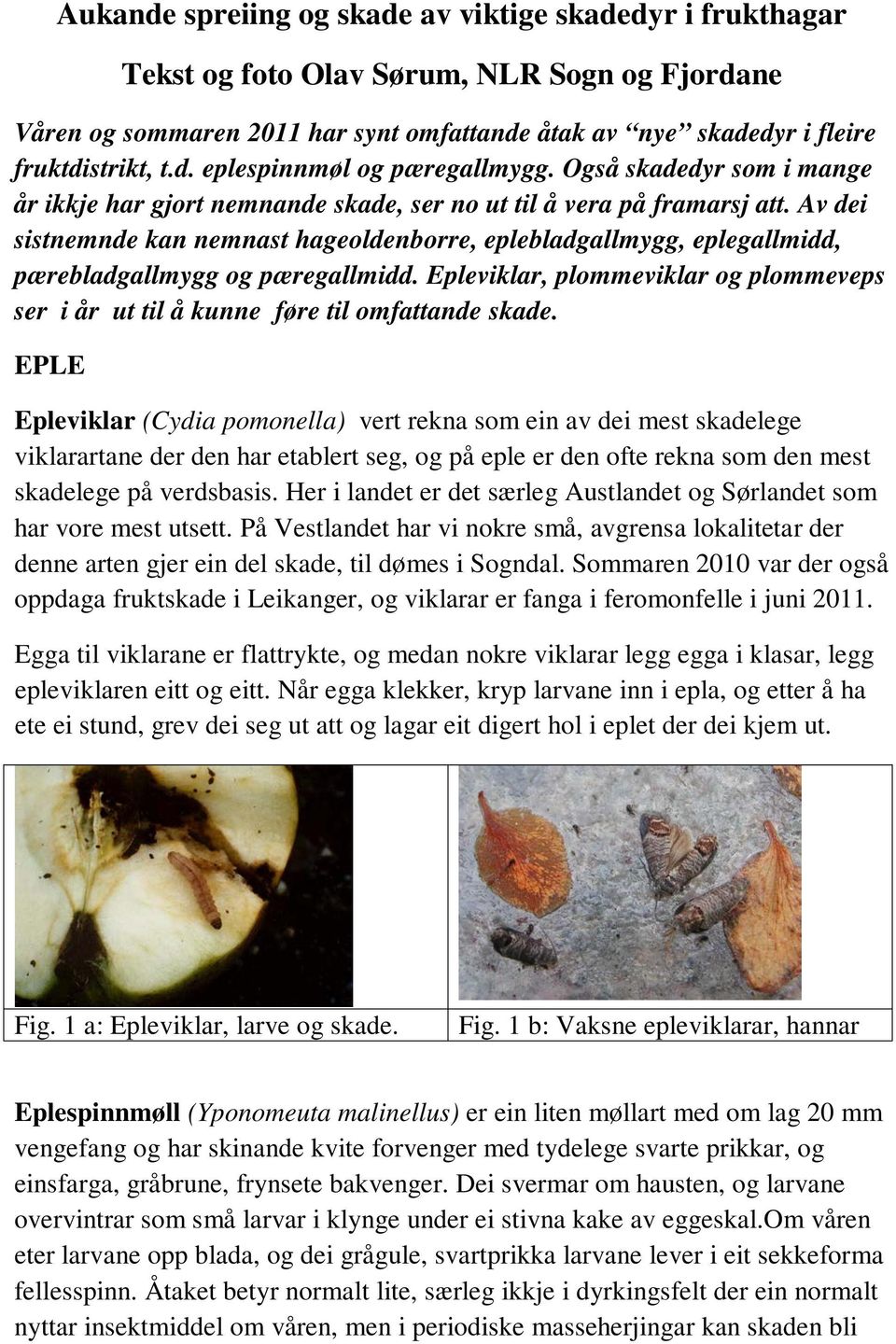 Av dei sistnemnde kan nemnast hageoldenborre, eplebladgallmygg, eplegallmidd, pærebladgallmygg og pæregallmidd.