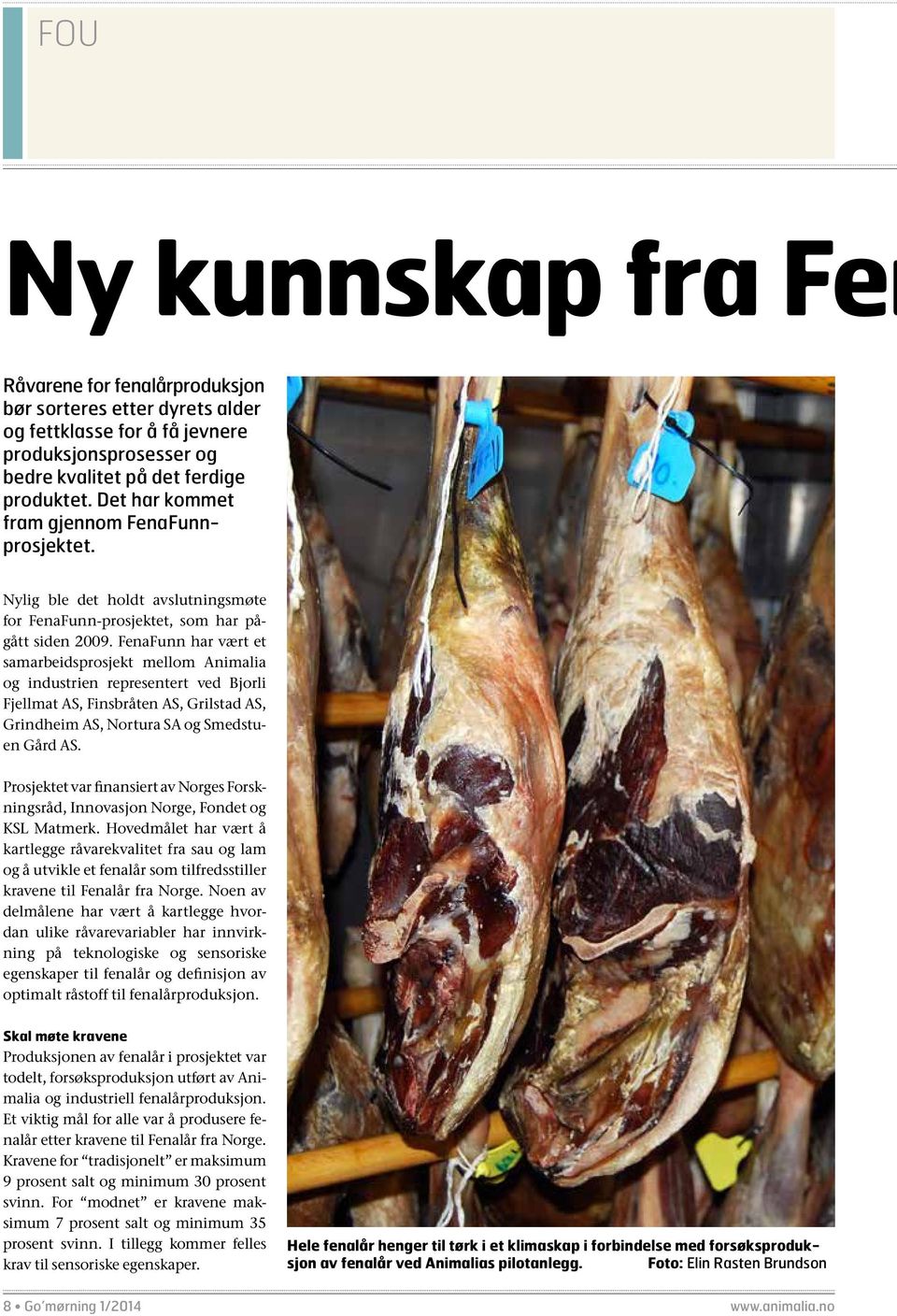 FenaFunn har vært et samarbeidsprosjekt mellom Animalia og industrien representert ved Bjorli Fjellmat AS, Finsbråten AS, Grilstad AS, Grindheim AS, Nortura SA og Smedstuen Gård AS.
