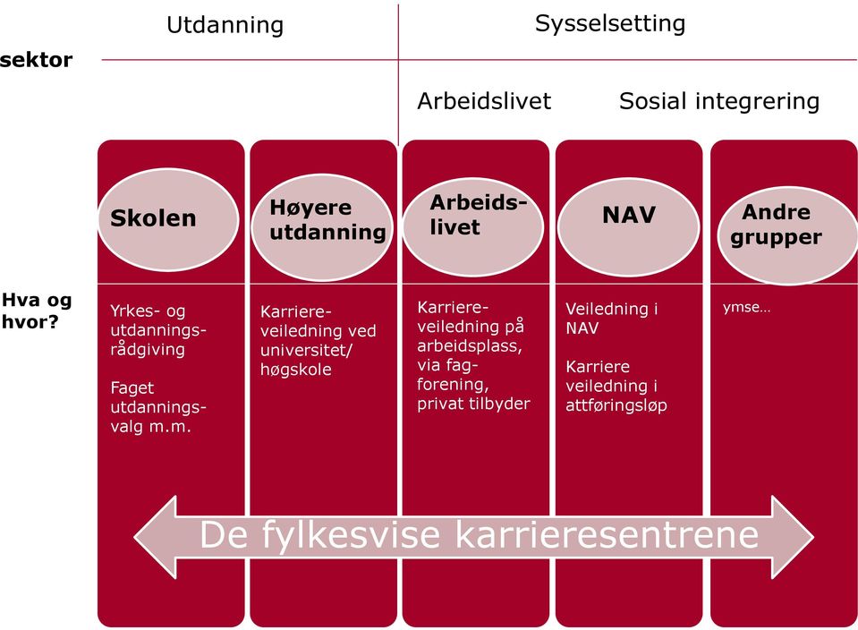 m. Karriereveiledning ved universitet/ høgskole Karriereveiledning på arbeidsplass, via