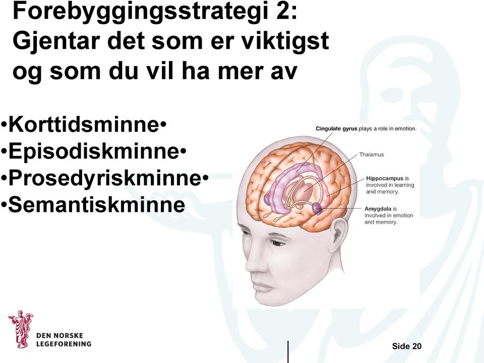 mer av Korttidsminne Episodiskminne