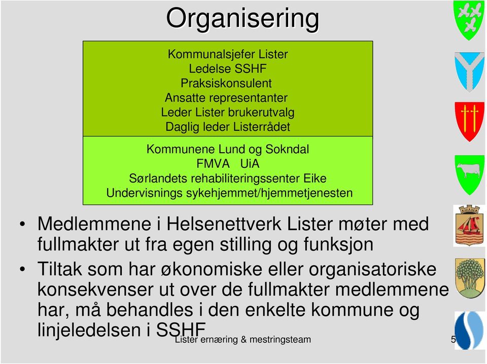 Medlemmene i Helsenettverk Lister møter med fullmakter ut fra egen stilling og funksjon Tiltak som har økonomiske eller