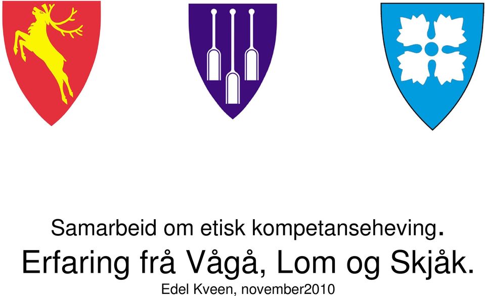 Erfaring frå Vågå, Lom