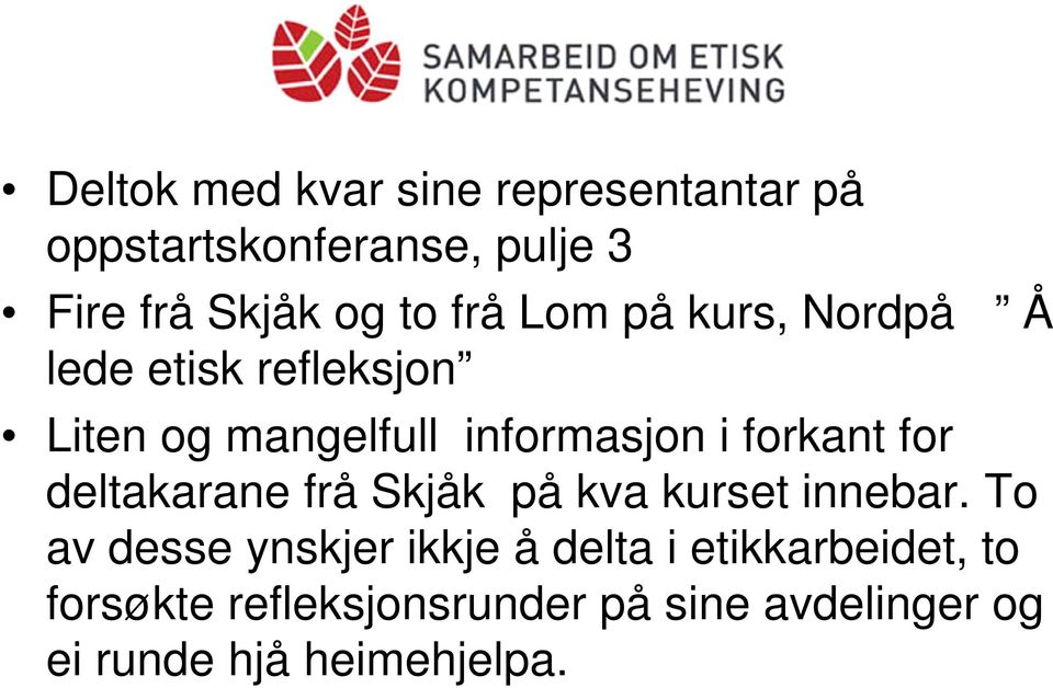 forkant for deltakarane frå Skjåk på kva kurset innebar.