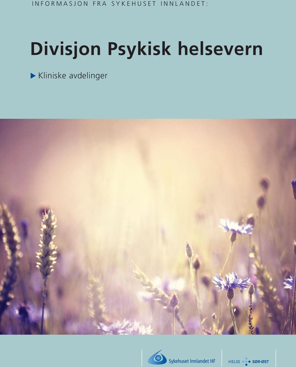 Divisjon Psykisk