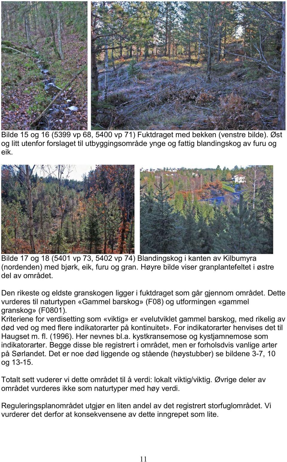 Den rikeste og eldste granskogen ligger i fuktdraget som går gjennom området. Dette vurderes til naturtypen «Gammel barskog» (F08) og utformingen «gammel granskog» (F0801).