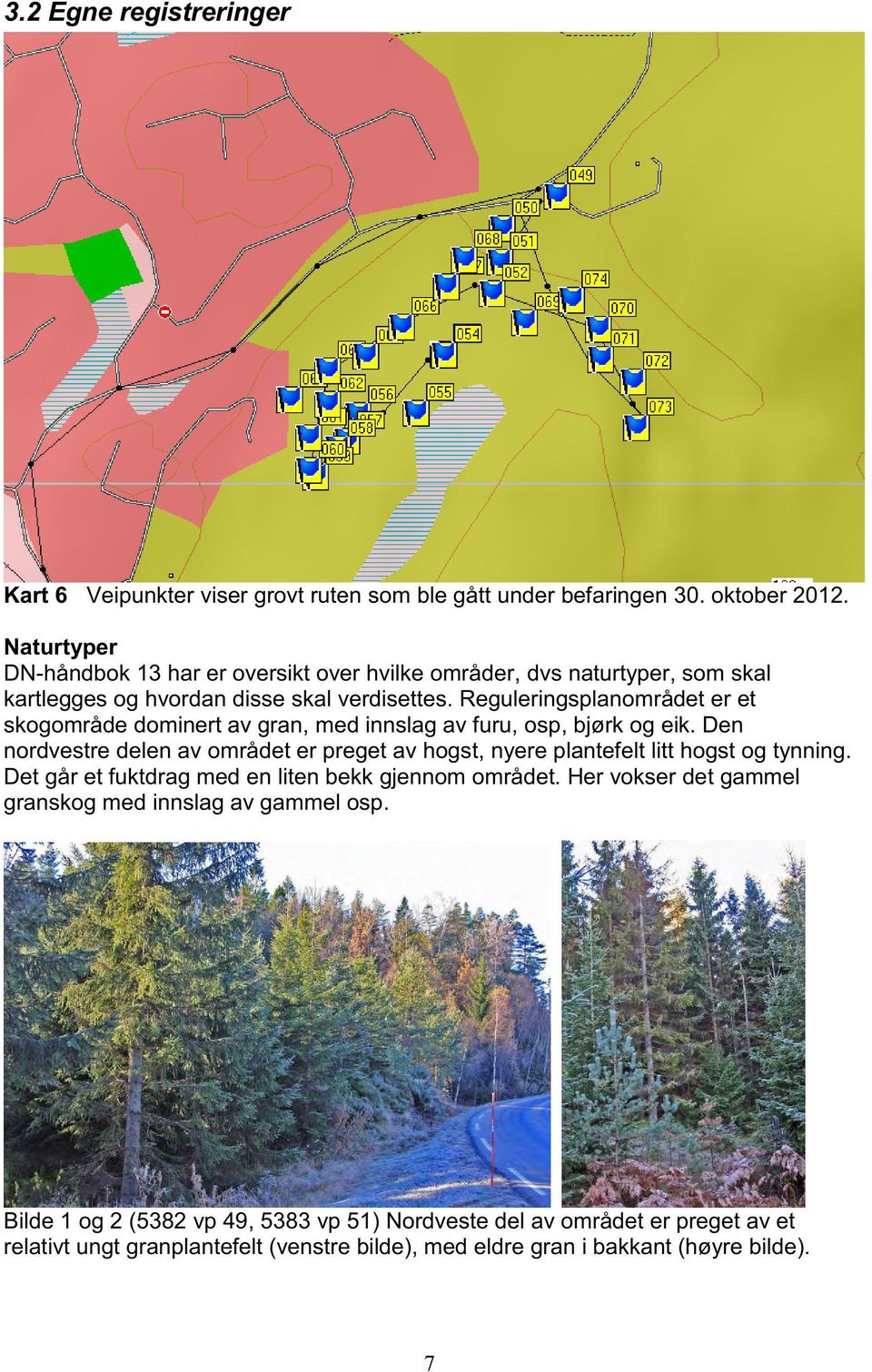 Reguleringsplanområdet er et skogområde dominert av gran, med innslag av furu, osp, bjørk og eik.