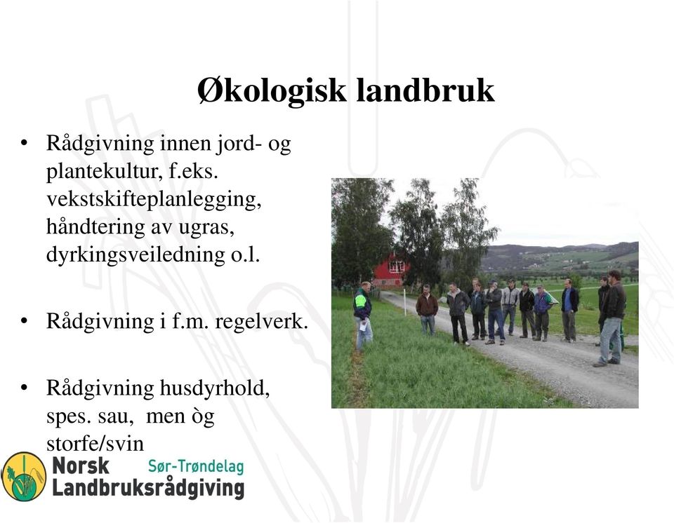 dyrkingsveiledning o.l. Økologisk landbruk Rådgivning i f.