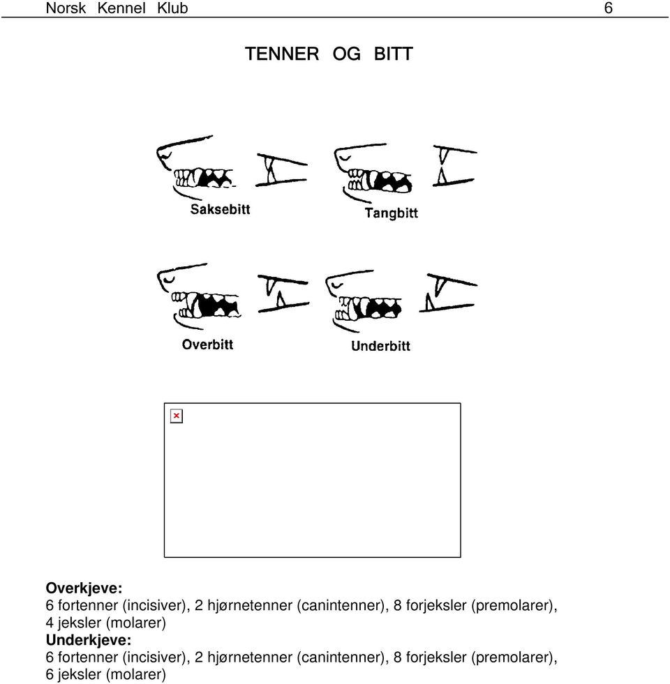 (premolarer), 4 jeksler (molarer) Underkjeve: 6 fortenner 