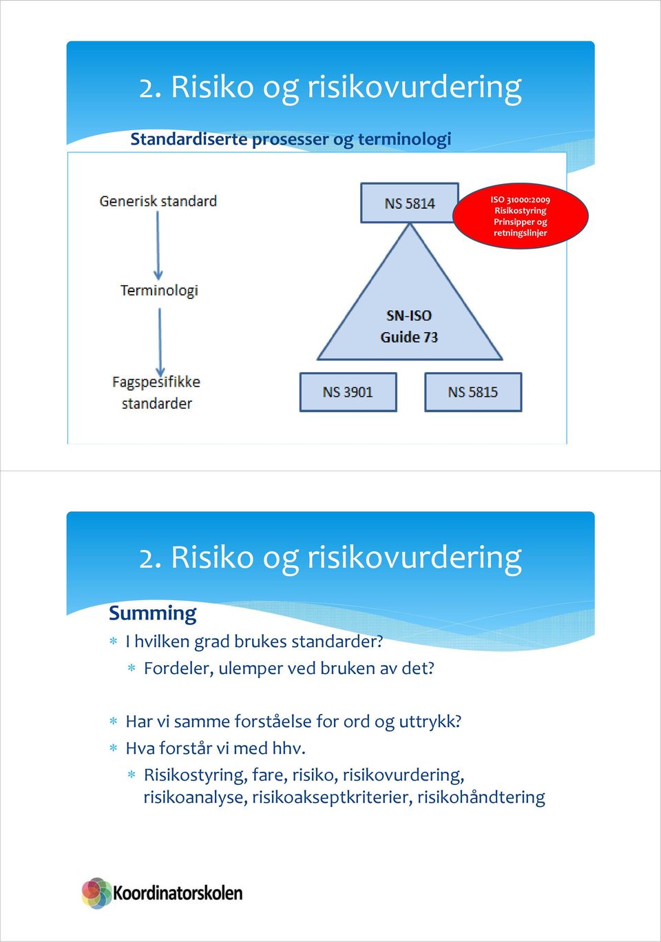 Fordeler, ulemper ved bruken av det? Har vi samme forståelse for ord og uttrykk?