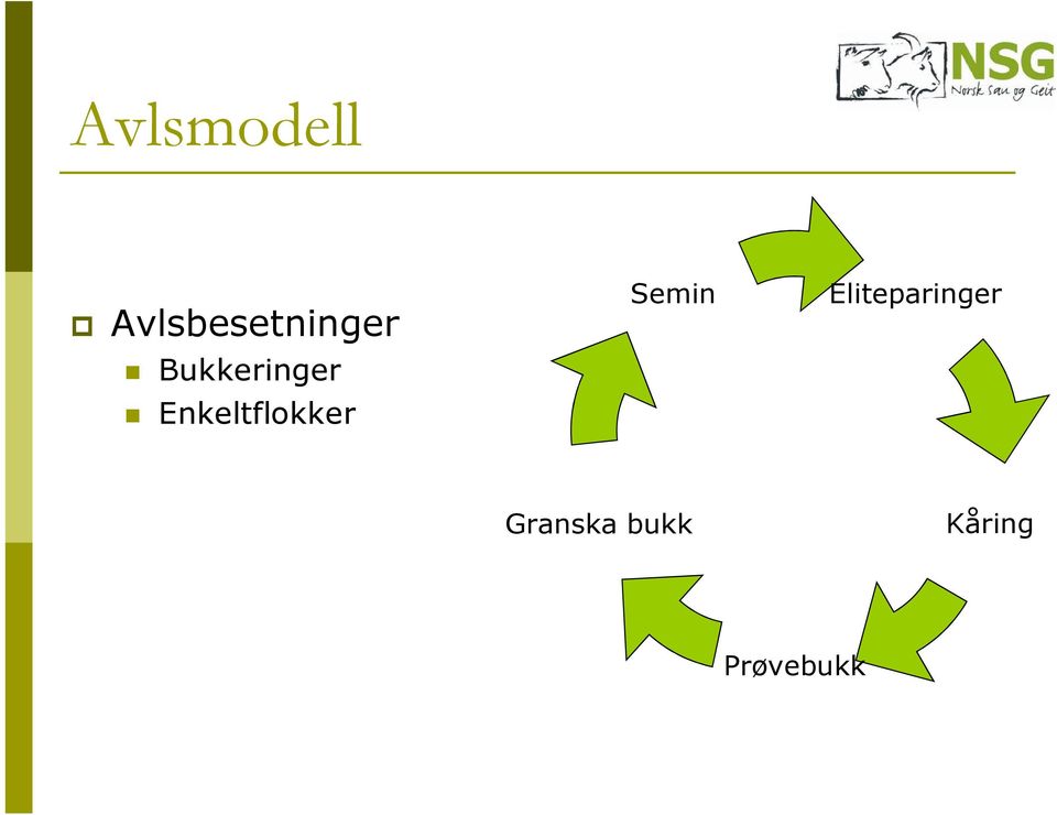 Bukkeringer Enkeltflokker