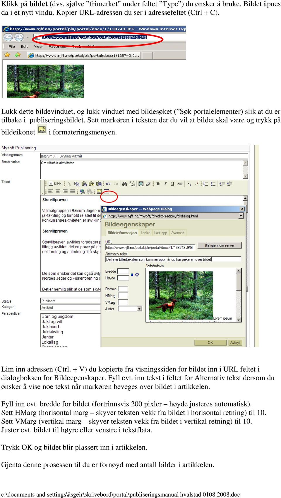 Sett markøren i teksten der du vil at bildet skal være og trykk på bildeikonet i formateringsmenyen. Lim inn adressen (Ctrl.