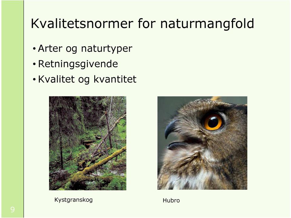 naturtyper Retningsgivende