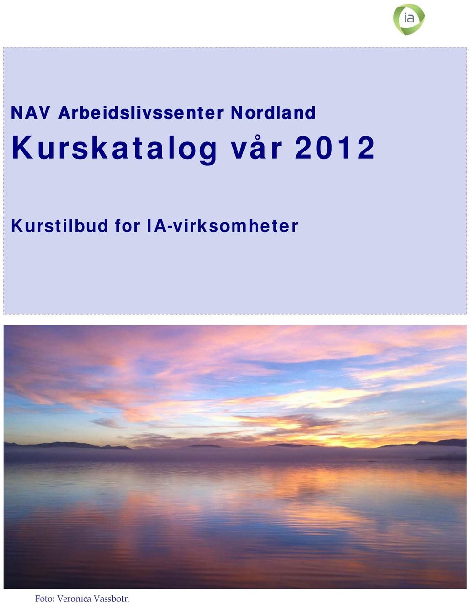 2012 Kurstilbud for