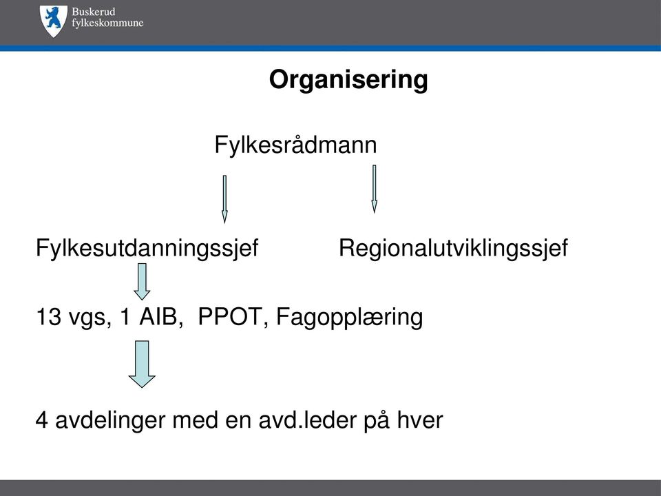 Regionalutviklingssjef 13 vgs, 1