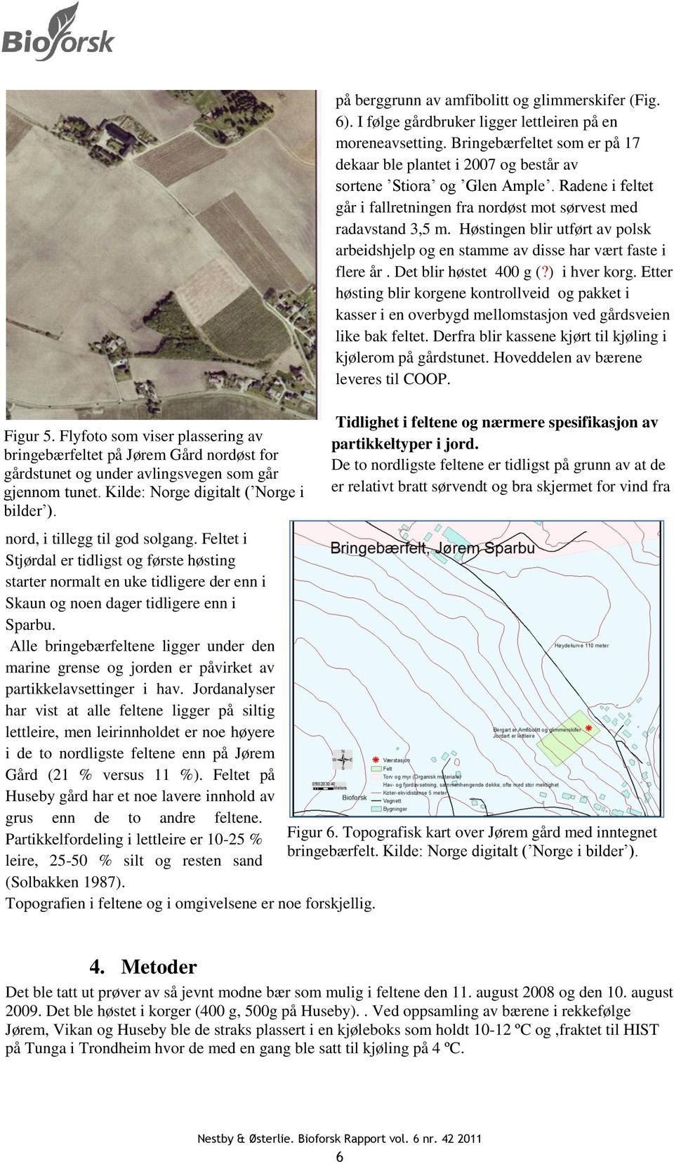 Bringebærfeltet som er på 17 dekaar ble plantet i 2007 og består av sortene Stiora og Glen Ample. Radene i feltet går i fallretningen fra nordøst mot sørvest med radavstand 3,5 m.