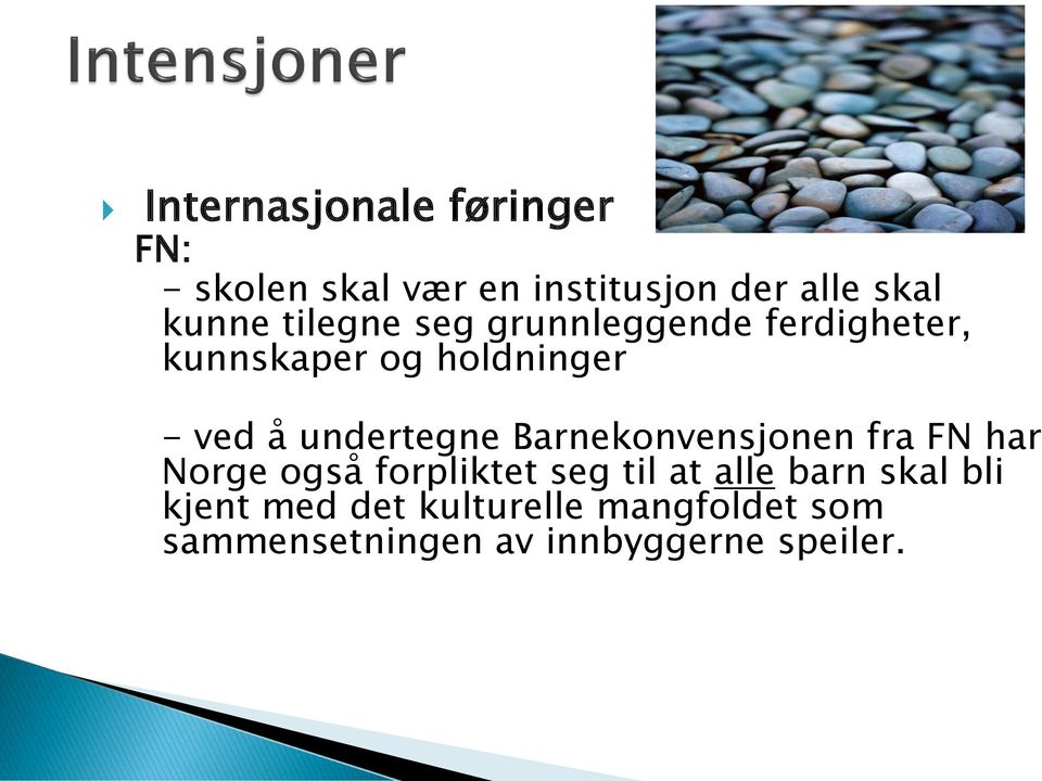 undertegne Barnekonvensjonen fra FN har Norge også forpliktet seg til at alle