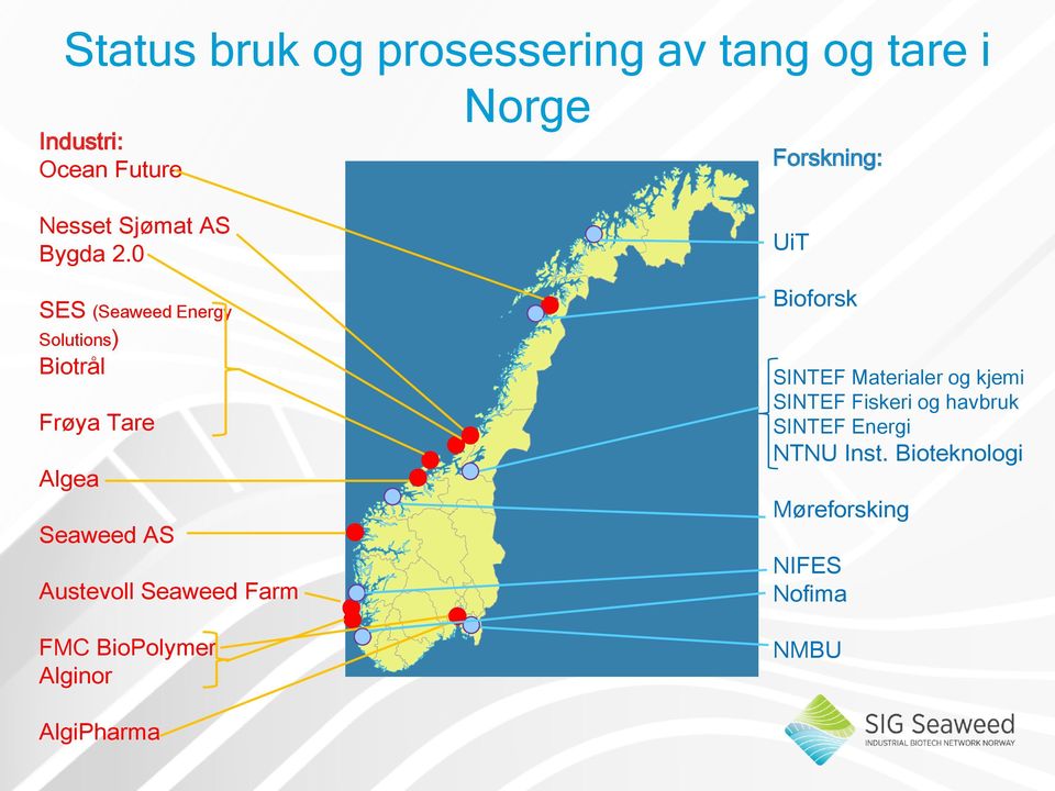 0 SES (Seaweed Energy Solutions) Biotrål Frøya Tare Algea Seaweed AS Austevoll Seaweed Farm