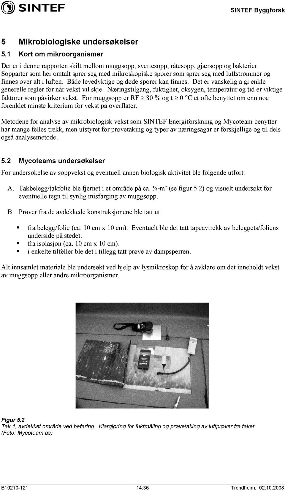 Det er vanskelig å gi enkle generelle regler for når vekst vil skje. Næringstilgang, fuktighet, oksygen, temperatur og tid er viktige faktorer som påvirker vekst.