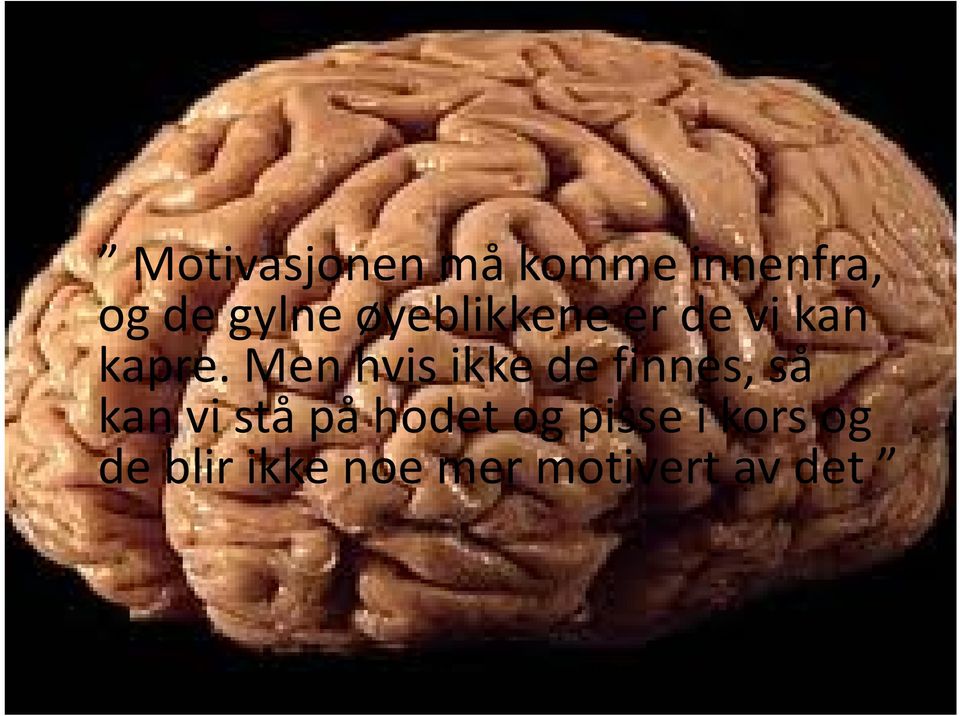 Men hvis ikke de finnes, så kan vi stå på