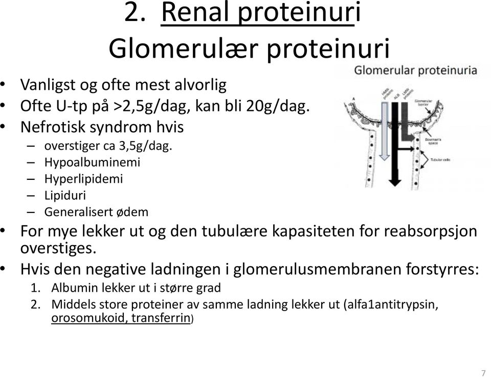 Hypoalbuminemi Hyperlipidemi Lipiduri Generalisert ødem For mye lekker ut og den tubulære kapasiteten for reabsorpsjon