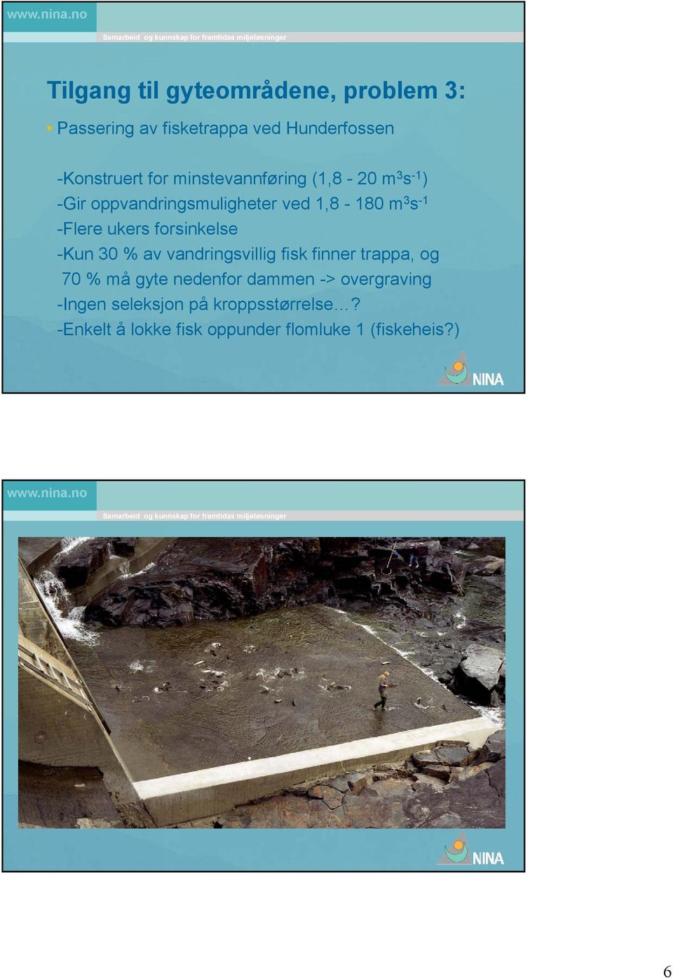 forsinkelse -Kun 30 % av vandringsvillig g fisk finner trappa, og 70 % må gyte nedenfor dammen ->