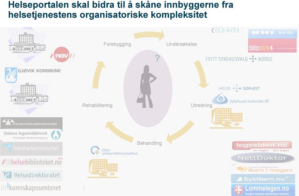 organisatoriske kompleksitet