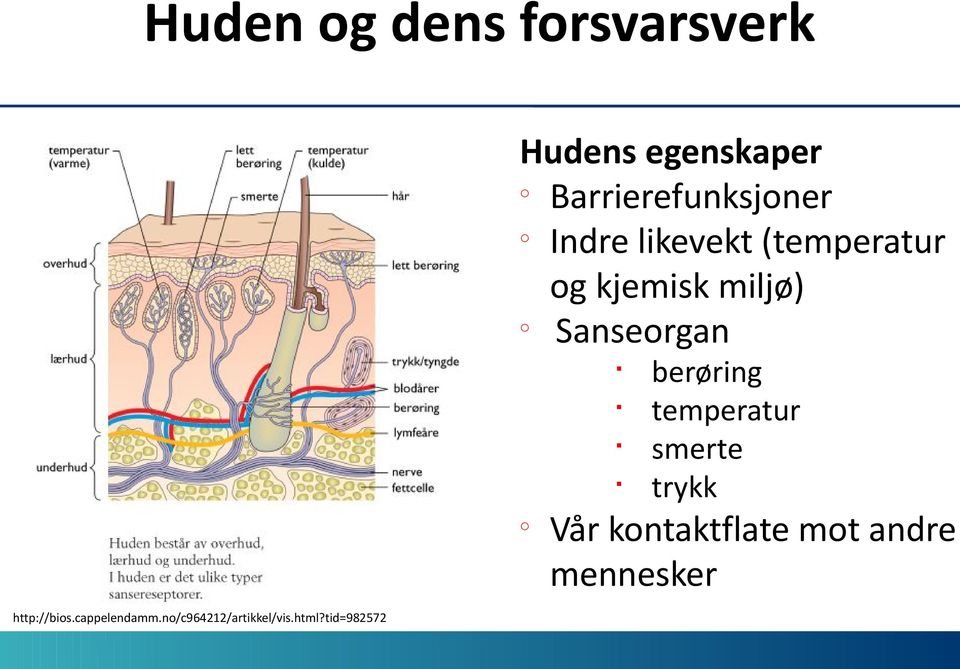 http://bis.cappelendamm.n/c964212/artikkel/vis.html?