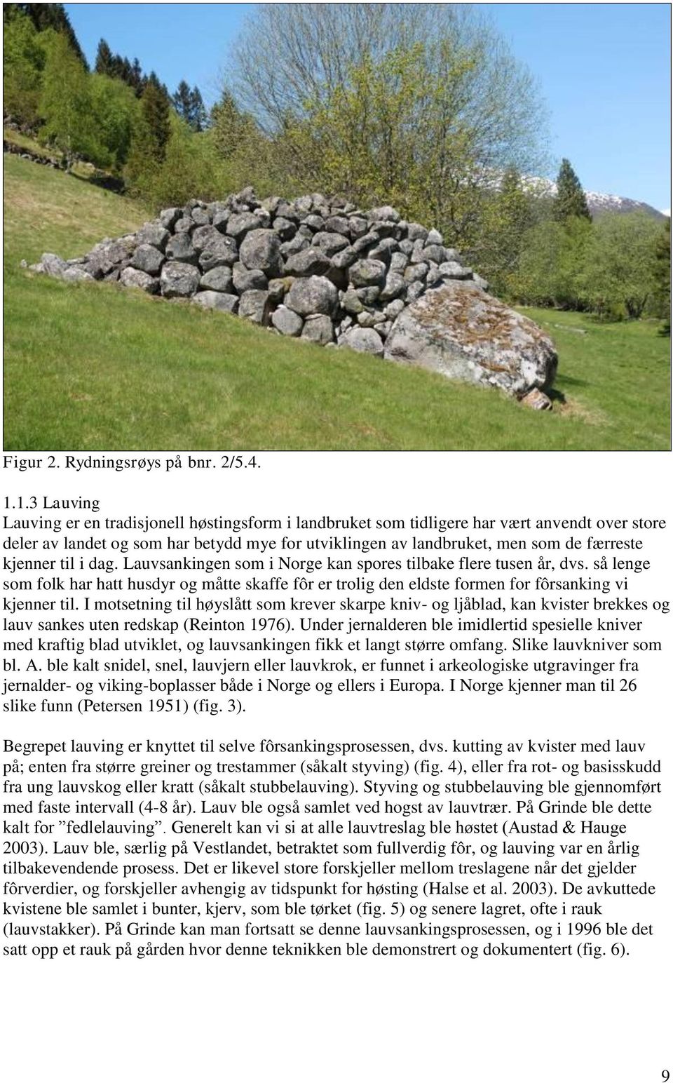 kjenner til i dag. Lauvsankingen som i Norge kan spores tilbake flere tusen år, dvs. så lenge som folk har hatt husdyr og måtte skaffe fôr er trolig den eldste formen for fôrsanking vi kjenner til.