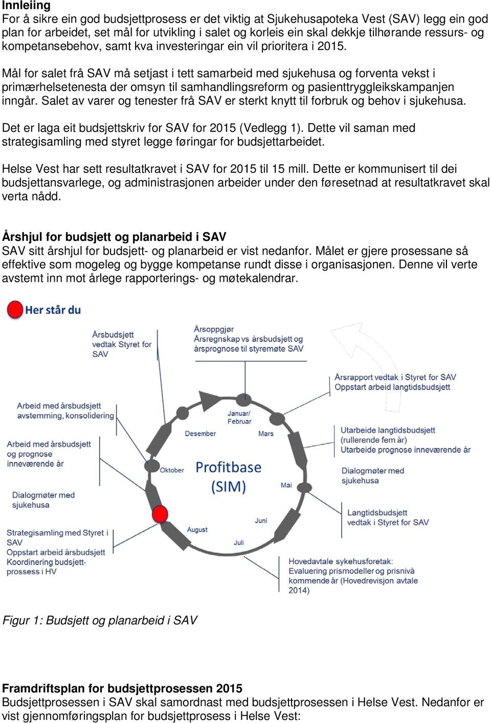 Mål for salet frå SAV må setjast i tett samarbeid med sjukehusa og forventa vekst i primærhelsetenesta der omsyn til samhandlingsreform og pasienttryggleikskampanjen inngår.