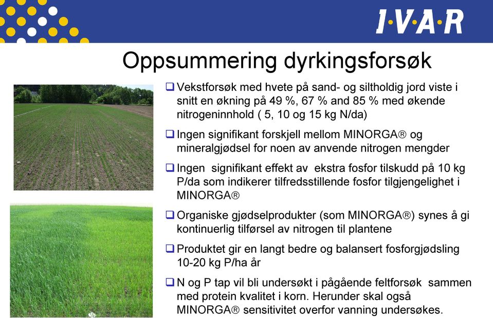 tilfredsstillende fosfor tilgjengelighet i MINORGA Organiske gjødselprodukter (som MINORGA ) synes å gi kontinuerlig tilførsel av nitrogen til plantene Produktet gir en langt bedre og